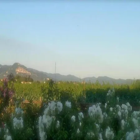 Holiday home In Cortona
