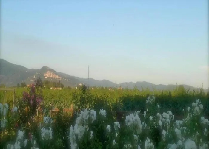 بيت للعطل In كورتونا